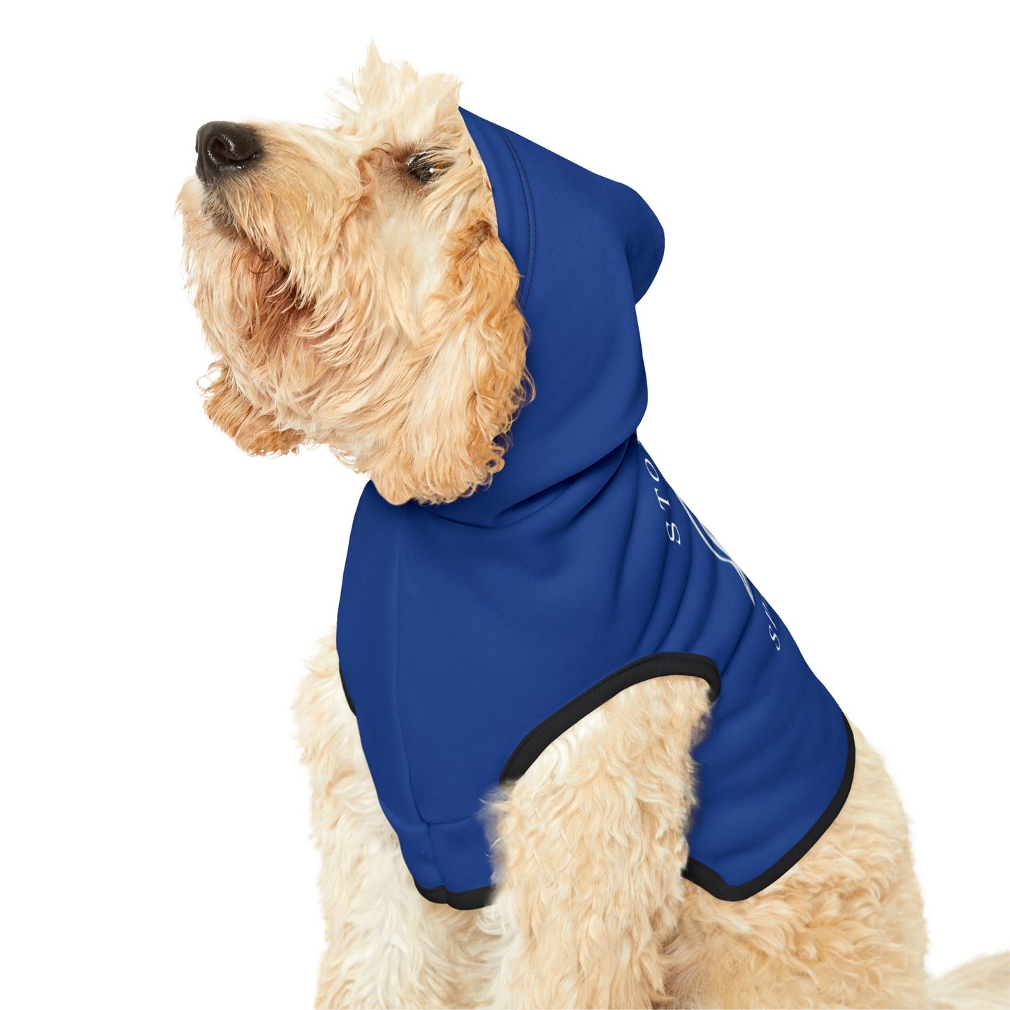 Mascot Pet Hoodie