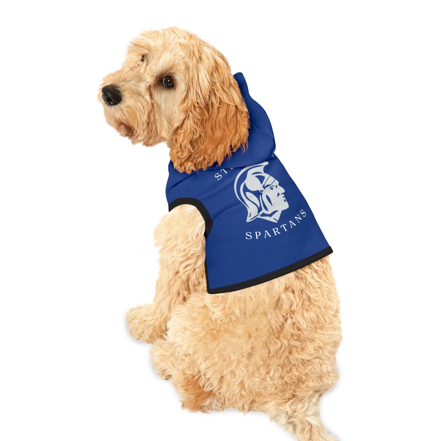 Mascot Pet Hoodie